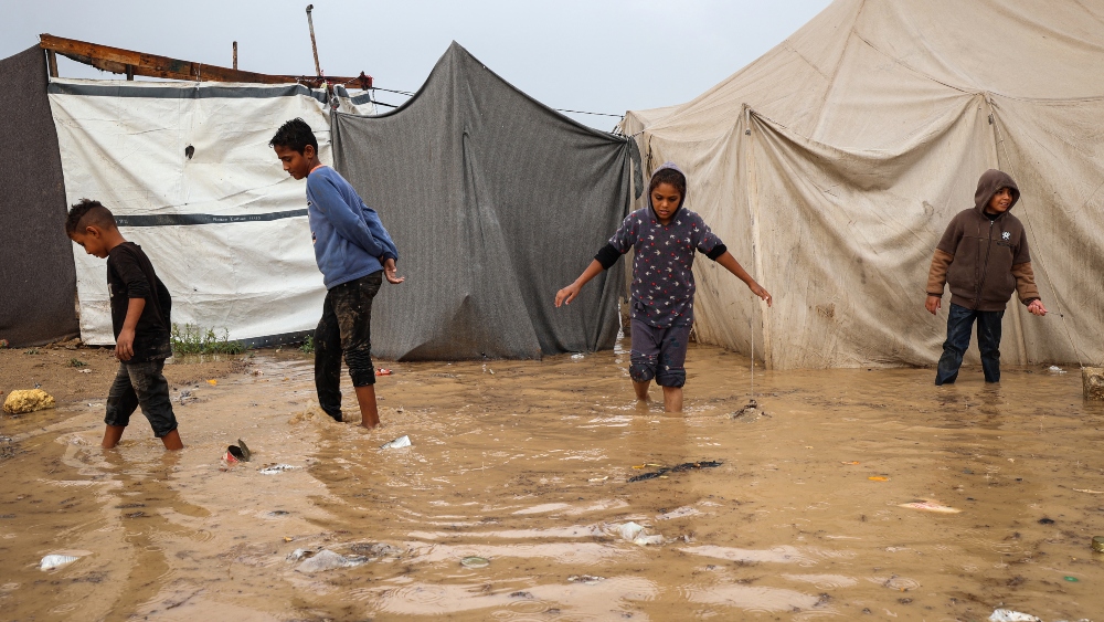 Over 640,000 Gazans facing acute hunger crisis, WFP report warns